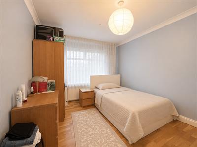 Picture 7